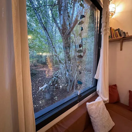 Tiny House Au Coeur De La Foret *