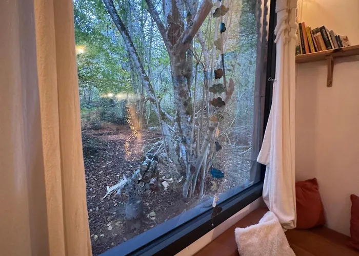 Tiny House Au Coeur De La Foret *
